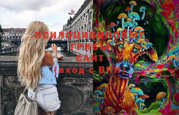 экстази Ростов