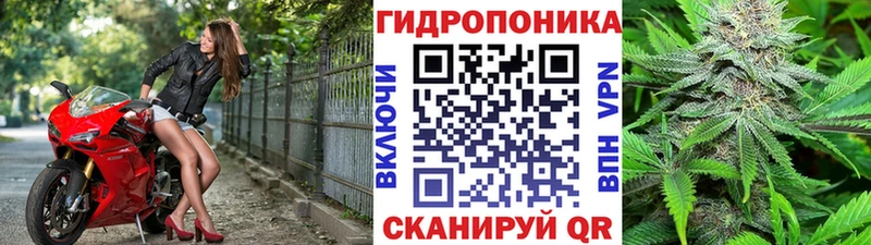 Купить где  Суоярви  Марихуана тримм 